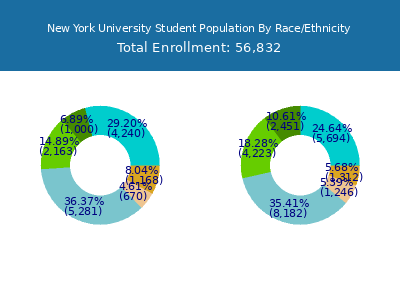 New York University 2025 Student Population by Gender and Race chart