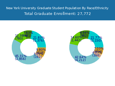 New York University 2025 Graduate Enrollment by Gender and Race chart