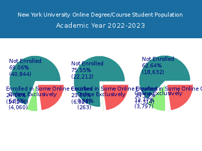 New York University 2023 Online Student Population chart