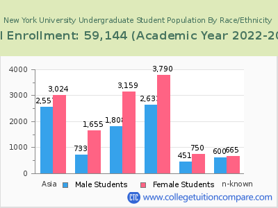 New York University 2023 Undergraduate Enrollment by Gender and Race chart