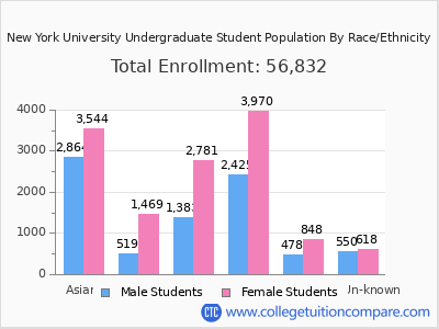 New York University 2025 Undergraduate Enrollment by Gender and Race chart