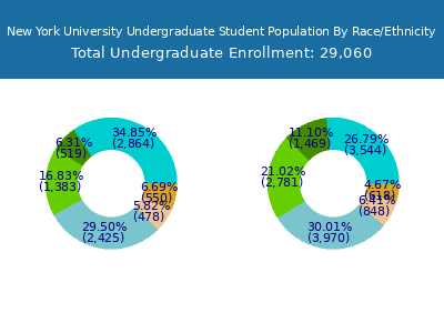New York University 2025 Undergraduate Enrollment by Gender and Race chart