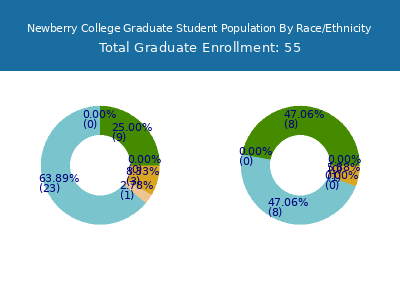 Newberry College 2025 Graduate Enrollment by Gender and Race chart