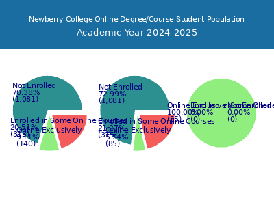 Newberry College 2025 Online Student Population chart