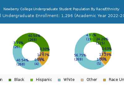 Newberry College 2023 Undergraduate Enrollment by Gender and Race chart