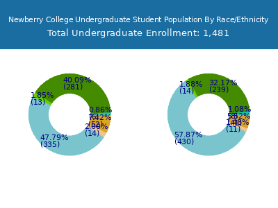 Newberry College 2025 Undergraduate Enrollment by Gender and Race chart