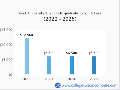 NewU University 2025 undergraduate tuition chart