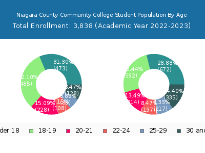 Niagara County Community College 2023 Student Population Age Diversity Pie chart