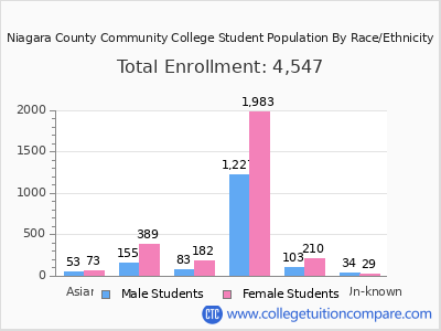 Niagara County Community College 2025 Student Population by Gender and Race chart