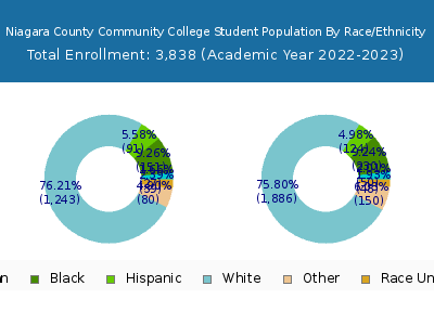 Niagara County Community College 2023 Student Population by Gender and Race chart