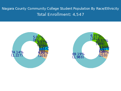 Niagara County Community College 2025 Student Population by Gender and Race chart
