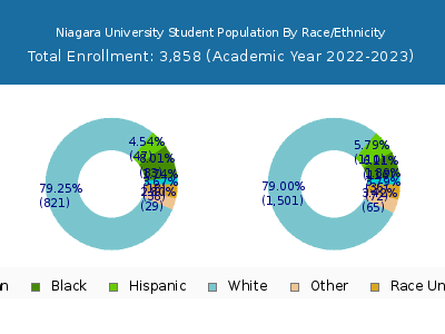 Niagara University 2023 Student Population by Gender and Race chart