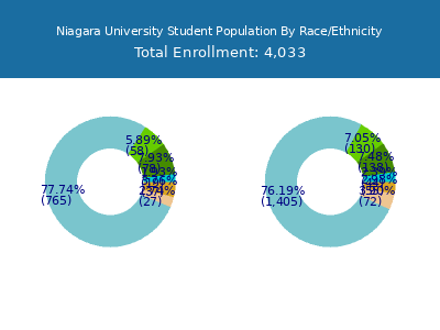 Niagara University 2025 Student Population by Gender and Race chart