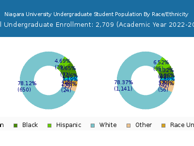 Niagara University 2023 Undergraduate Enrollment by Gender and Race chart