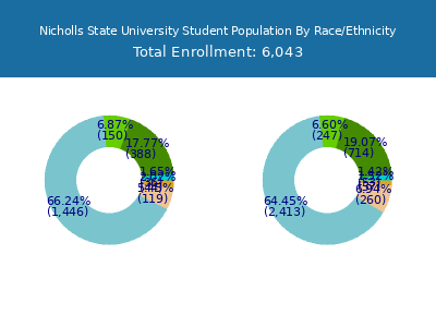 Nicholls State University 2025 Student Population by Gender and Race chart