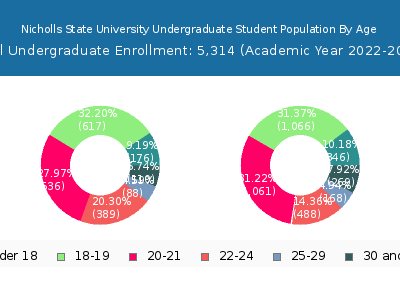 Nicholls State University 2023 Undergraduate Enrollment Age Diversity Pie chart