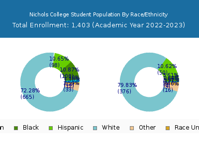 Nichols College 2023 Student Population by Gender and Race chart