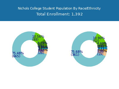 Nichols College 2025 Student Population by Gender and Race chart