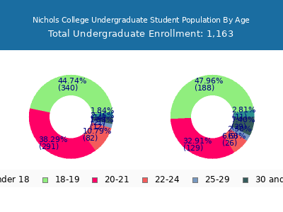 Nichols College 2024 Undergraduate Enrollment Age Diversity Pie chart