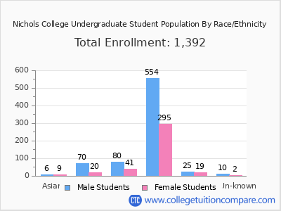 Nichols College 2025 Undergraduate Enrollment by Gender and Race chart