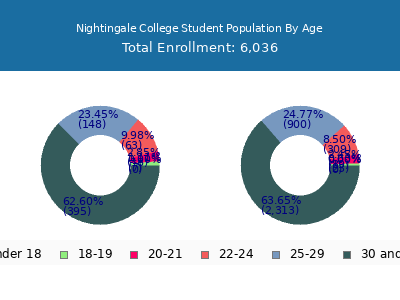 Nightingale College 2024 Student Population Age Diversity Pie chart