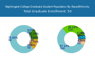 Nightingale College 2025 Graduate Enrollment by Gender and Race chart