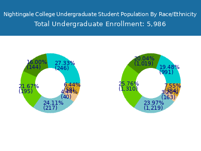 Nightingale College 2025 Undergraduate Enrollment by Gender and Race chart