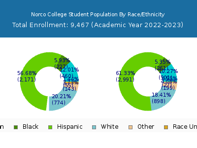 Norco College 2023 Student Population by Gender and Race chart