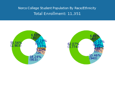 Norco College 2025 Student Population by Gender and Race chart