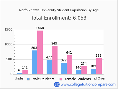 Norfolk State University 2024 Student Population by Age chart