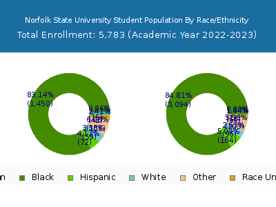 Norfolk State University 2023 Student Population by Gender and Race chart