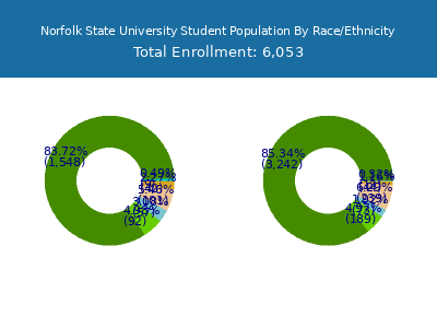 Norfolk State University 2025 Student Population by Gender and Race chart