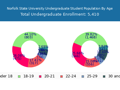 Norfolk State University 2024 Undergraduate Enrollment Age Diversity Pie chart