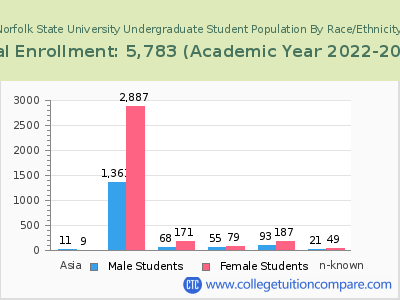 Norfolk State University 2023 Undergraduate Enrollment by Gender and Race chart
