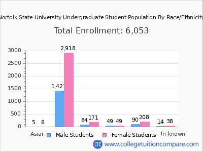 Norfolk State University 2025 Undergraduate Enrollment by Gender and Race chart