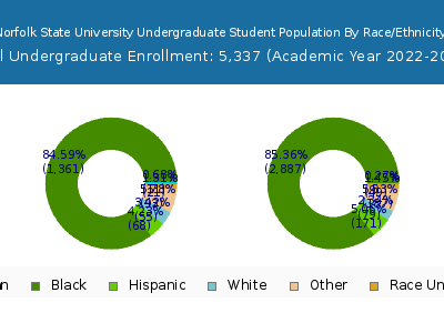 Norfolk State University 2023 Undergraduate Enrollment by Gender and Race chart
