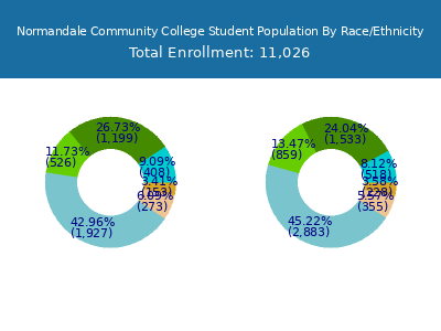 Normandale Community College 2025 Student Population by Gender and Race chart