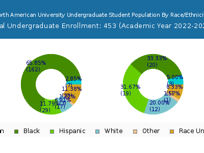 North American University 2023 Undergraduate Enrollment by Gender and Race chart