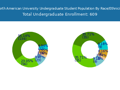 North American University 2025 Undergraduate Enrollment by Gender and Race chart