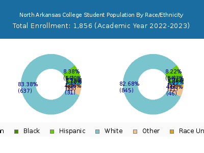 North Arkansas College 2023 Student Population by Gender and Race chart