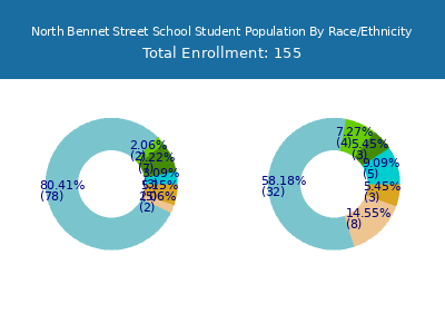 North Bennet Street School 2025 Student Population by Gender and Race chart