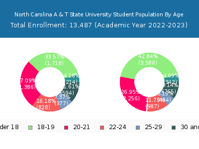 North Carolina A & T State University 2023 Student Population Age Diversity Pie chart