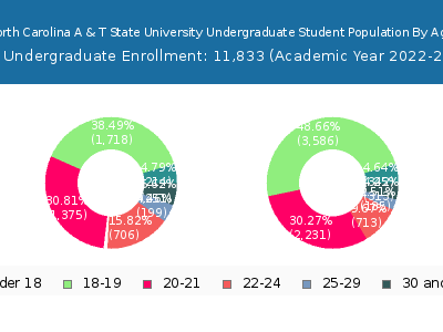 North Carolina A & T State University 2023 Undergraduate Enrollment Age Diversity Pie chart