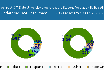 North Carolina A & T State University 2023 Undergraduate Enrollment by Gender and Race chart