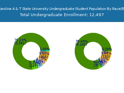North Carolina A & T State University 2025 Undergraduate Enrollment by Gender and Race chart