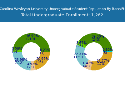 North Carolina Wesleyan University 2025 Undergraduate Enrollment by Gender and Race chart
