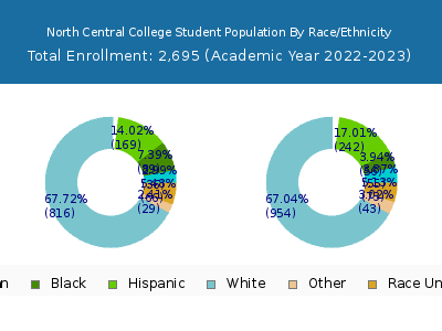North Central College 2023 Student Population by Gender and Race chart