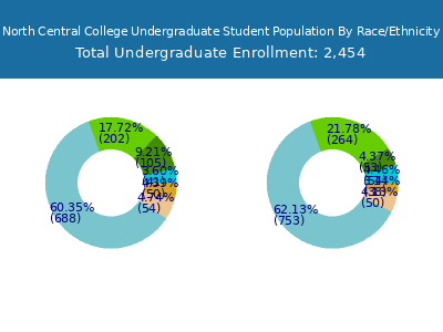 North Central College 2025 Undergraduate Enrollment by Gender and Race chart