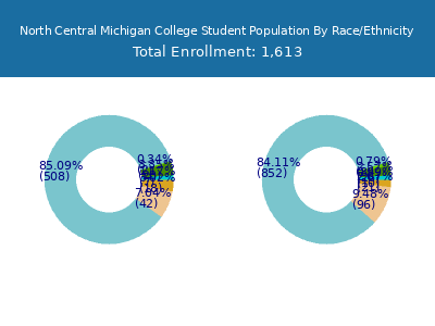 North Central Michigan College 2025 Student Population by Gender and Race chart