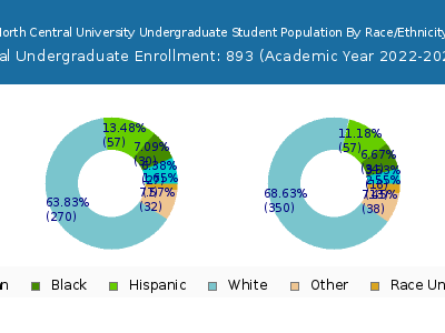 North Central University 2023 Undergraduate Enrollment by Gender and Race chart